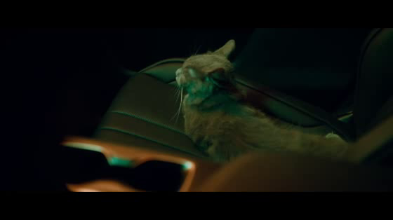 Lexus: At Home In An NX