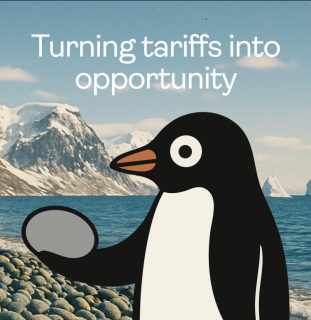 Heard Island Pebbles: Turning tariffs into opportunity for penguin conservation