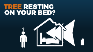 South Australian State Emergency Service: Tree resting on your bed?