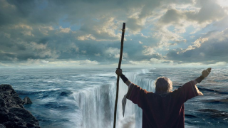 1-800-CONTACTS: Moses