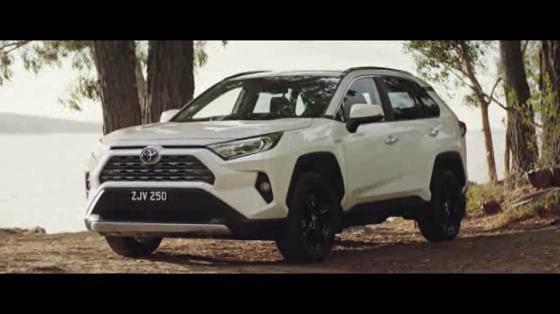Toyota RAV4: Bull Ants