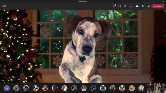 Microsoft: Find Your Joy - A Dog’s Dream