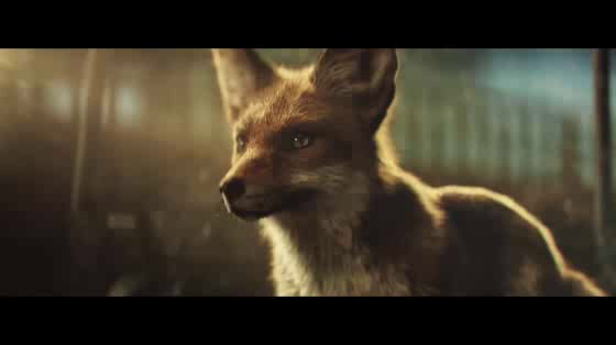 John Lewis: Buster The Boxer