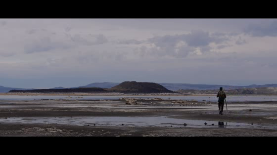 Volkswagen: Walk Here