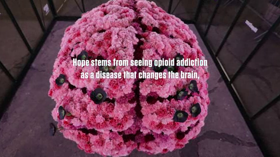 Shatterproof: Hope Stems