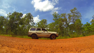 Tropical North Queensland: 1 Day in Paradise -- Trip to the Tip. Nicholas Clifford.