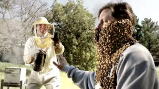 Bojangles: Bees