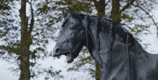ATG - Swedish horseracing: Singing Horses - Opera