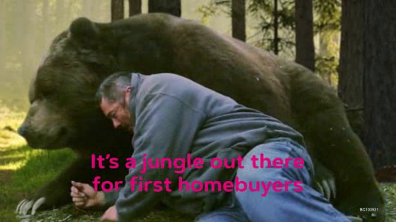 Hug Homes: Bear