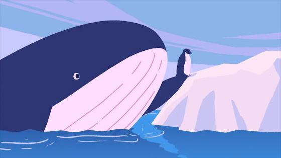 United Nations: The Penguin & The Whale