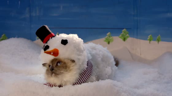 Temptations: Say Sorry For The Holidays