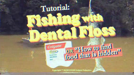 Dental Floss: Fishing with dental floss