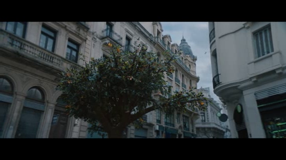 Cisco: Tree