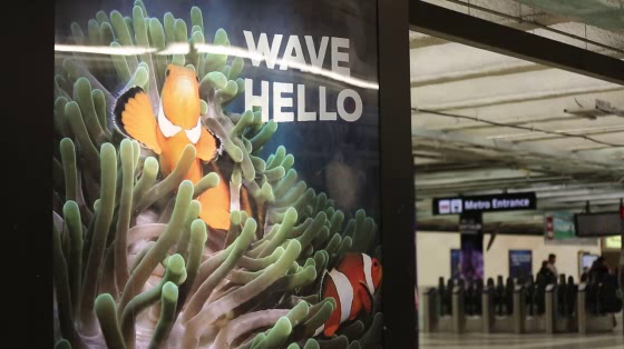 Monterey Bay Aquarium: Powell Street Station BART Takeover