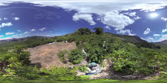 Nescafé: Virtual Coffee Farm