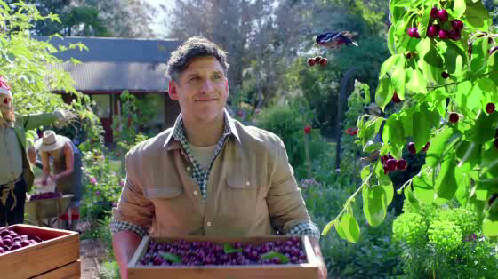 Woolworths: Picked for Christmas