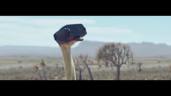 Samsung: Ostrich