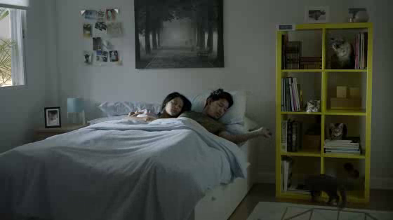 Ikea: Her Cats
