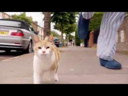 MoneySuperMarket: Running With Cats