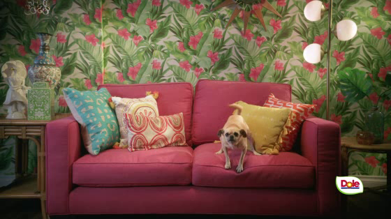 Dole: How Do You Approach a Pineapple? - Dog