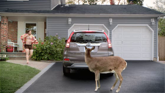 TriHonda: Deer
