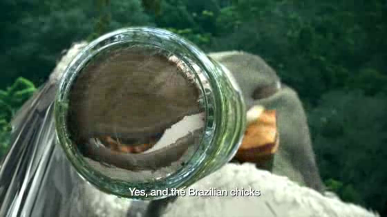 Direct Insurance: Brazil