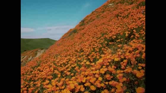 Nature First: In Nature, Everybody Is An Influencer