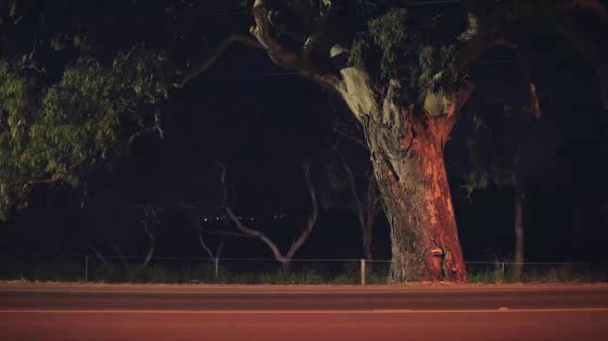 Think Road Safety: Life is a Gift - Gum Tree