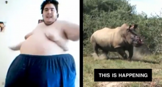 Forever Wild: YouTube Interventions