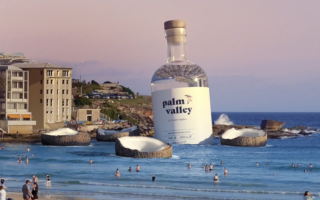 Palm Valley Coconut Vodka: Jump in those coconuts
