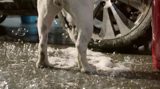 Subaru: Car Wash