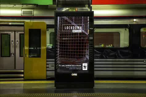 WWF New Zealand: Lockdown Lasts a Lifetime, 2