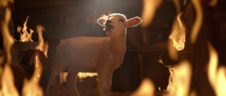 Stihl Chainsaws: Flossie Ending