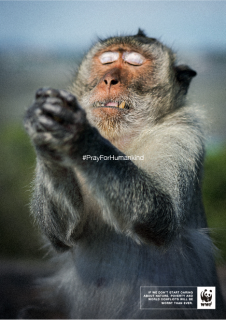 WWF: #PrayForHumankind_Ape