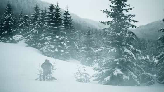 National Geographic Channel: Alaska