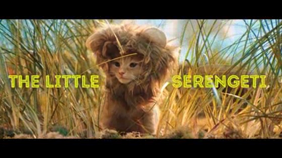 Missouri Lottery: Little Serengeti