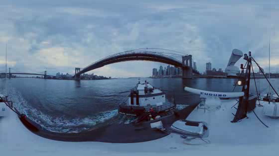 Dunkin' Donuts: The Harbor That Never Sleeps