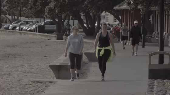 New Zealand Defence Force: Force Fit