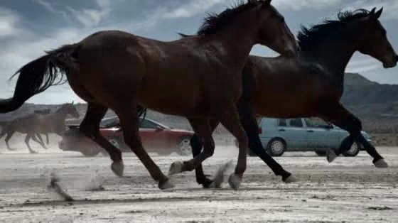 Firestone: Horses