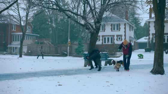 Subaru Canada: Dog Walk