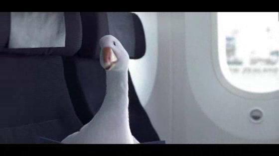 Air New Zealand: A better way to fly across the Tasman