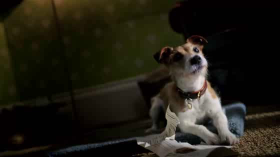 B&Q: You Can Do It