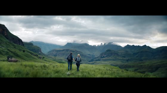 Travelocity: Seek Wisdom