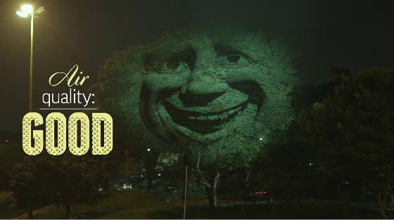 Institucional: The Feeling Tree