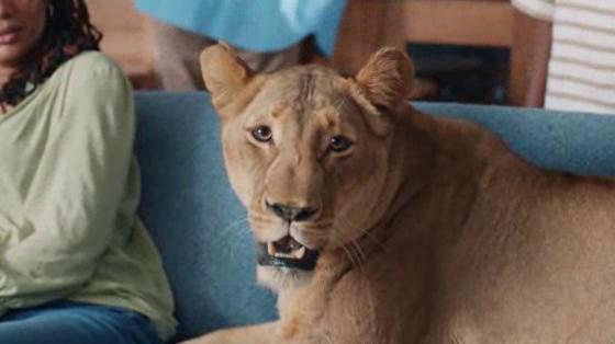 ITV: The Pride Has Arrived