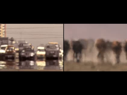 WWF: Side by Side
