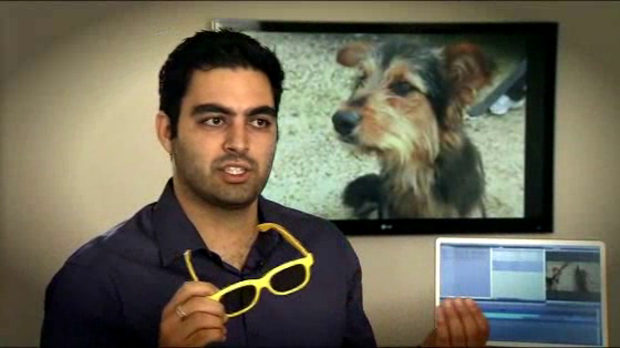 Pedigree Adoption Drive: Donation Glasses