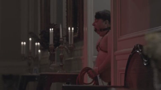 Special Dog Premium Food: Bondage