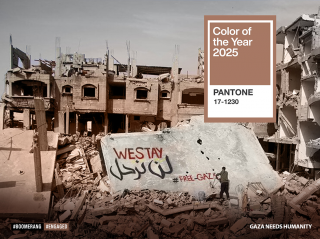 Great Cause: Color of the Year
