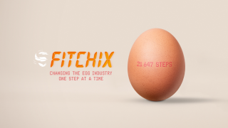 Honest Eggs Co.: FitChix